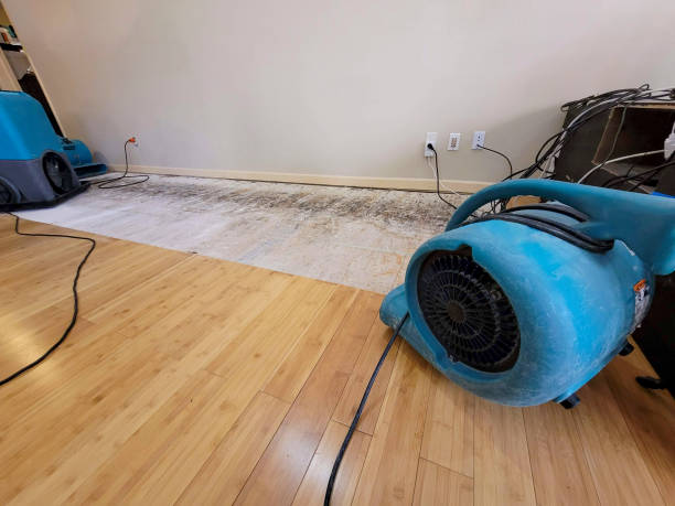 Professional Flood Damage Cleanup technician working in Wenatchee, WA